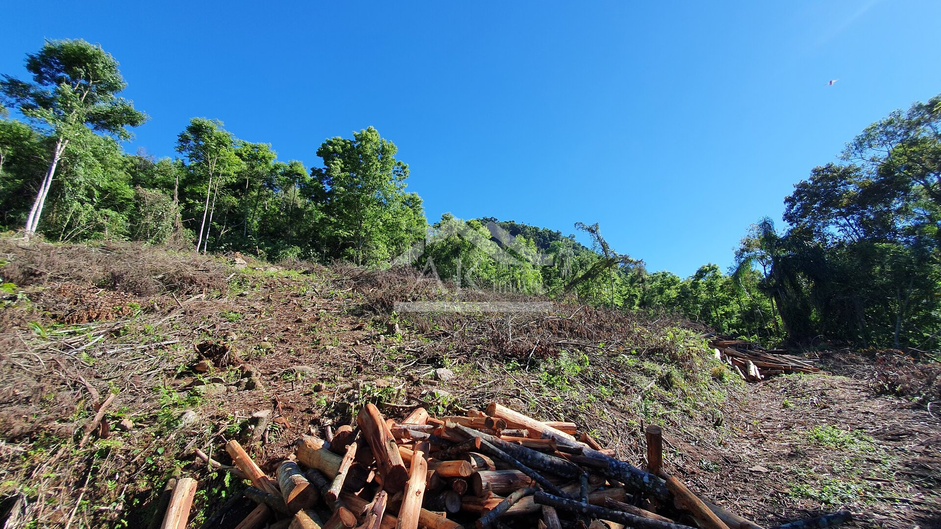Área de terras com córregos à venda em Linha Nova na Serra Gaúcha