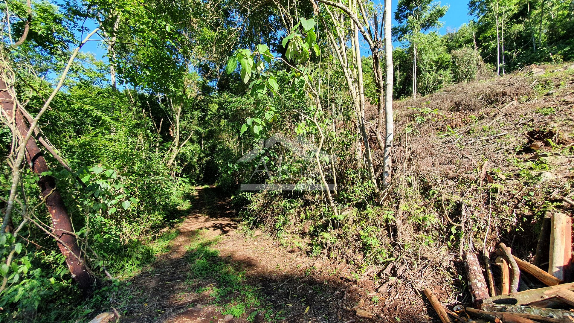 Área de terras com córregos à venda em Linha Nova na Serra Gaúcha
