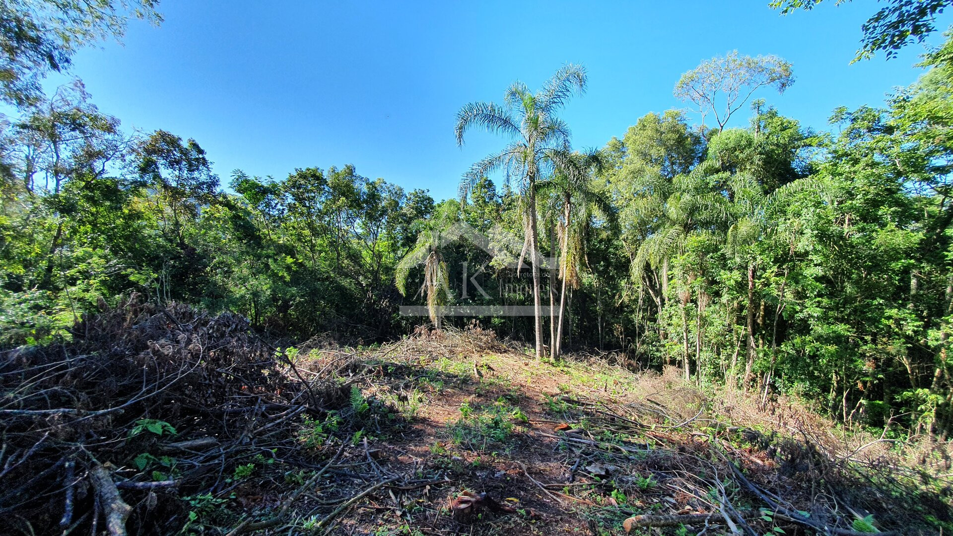 Área de terras com córregos à venda em Linha Nova na Serra Gaúcha