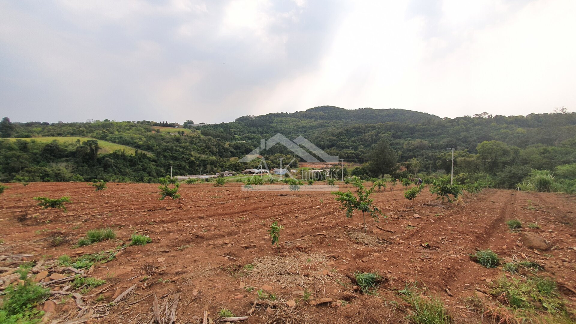 Bela área à venda às margens de rodovia estadual de São José do Hortêncio-RS
