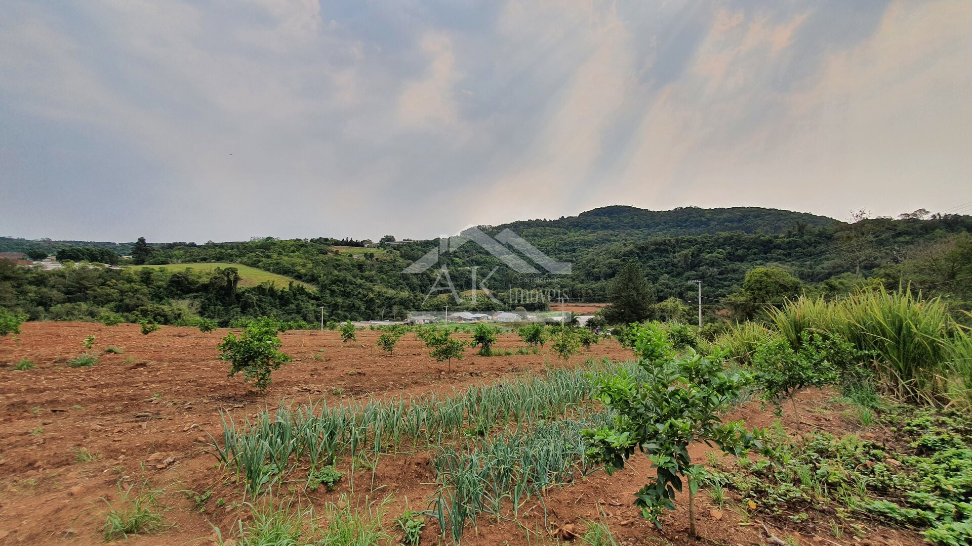 Bela área à venda às margens de rodovia estadual de São José do Hortêncio-RS