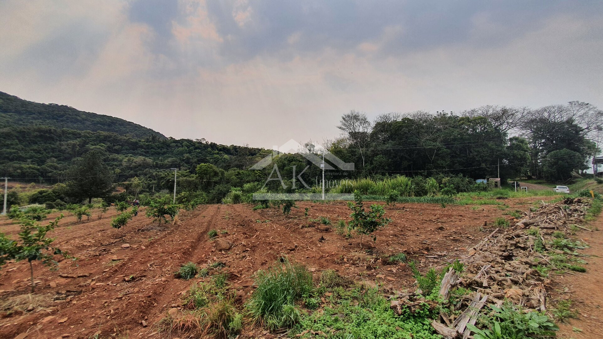 Bela área à venda às margens de rodovia estadual de São José do Hortêncio-RS
