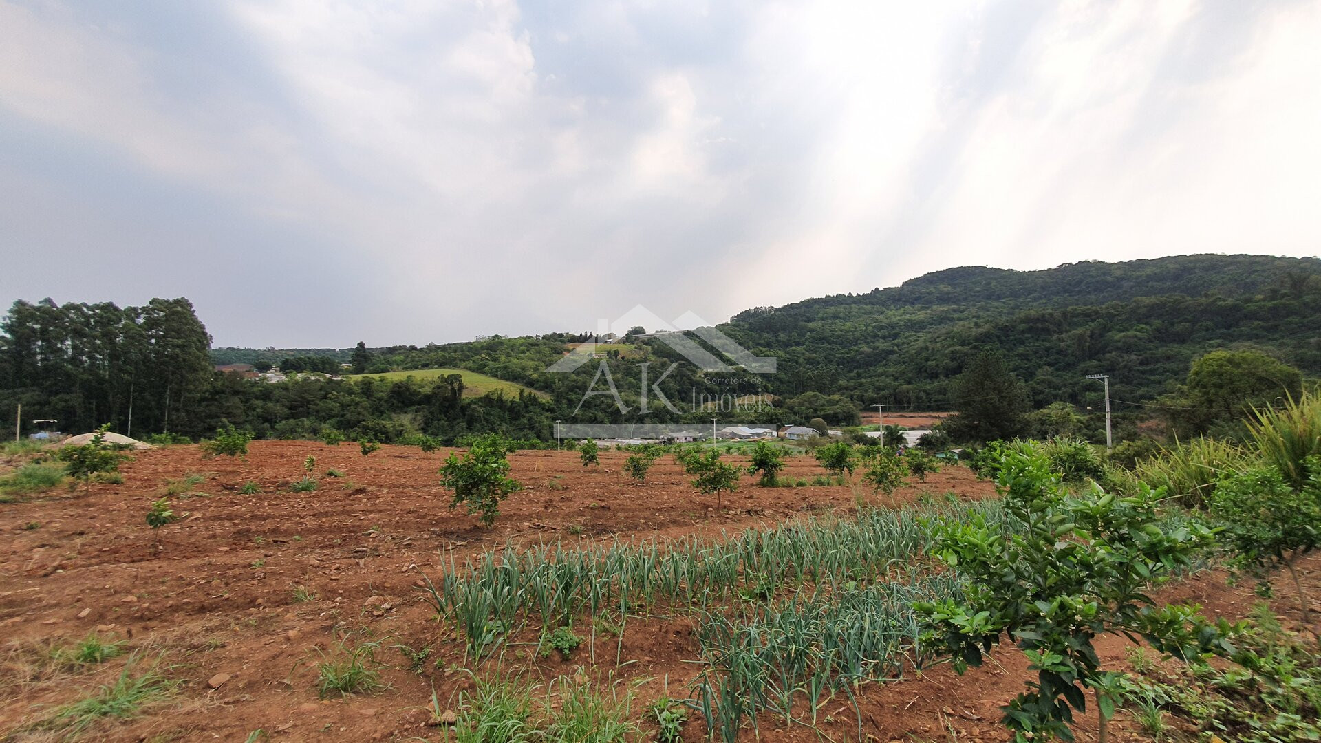 Bela área à venda às margens de rodovia estadual de São José do Hortêncio-RS