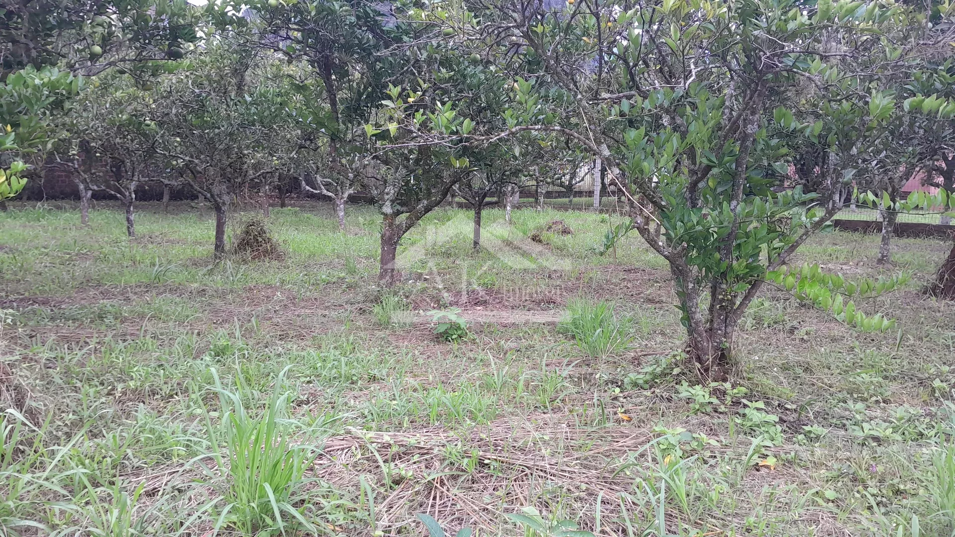 Terreno plano, à venda em Picada Café, na Serra Gaúcha