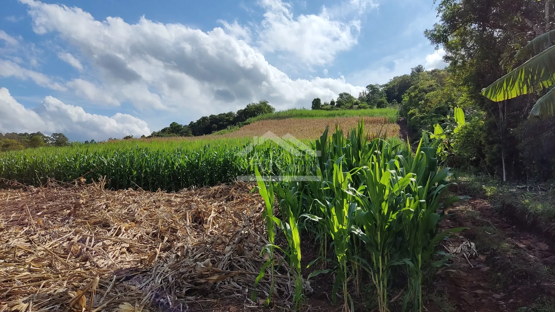 Chácara com açude e vista à venda na zona rural de Dois Irmãos