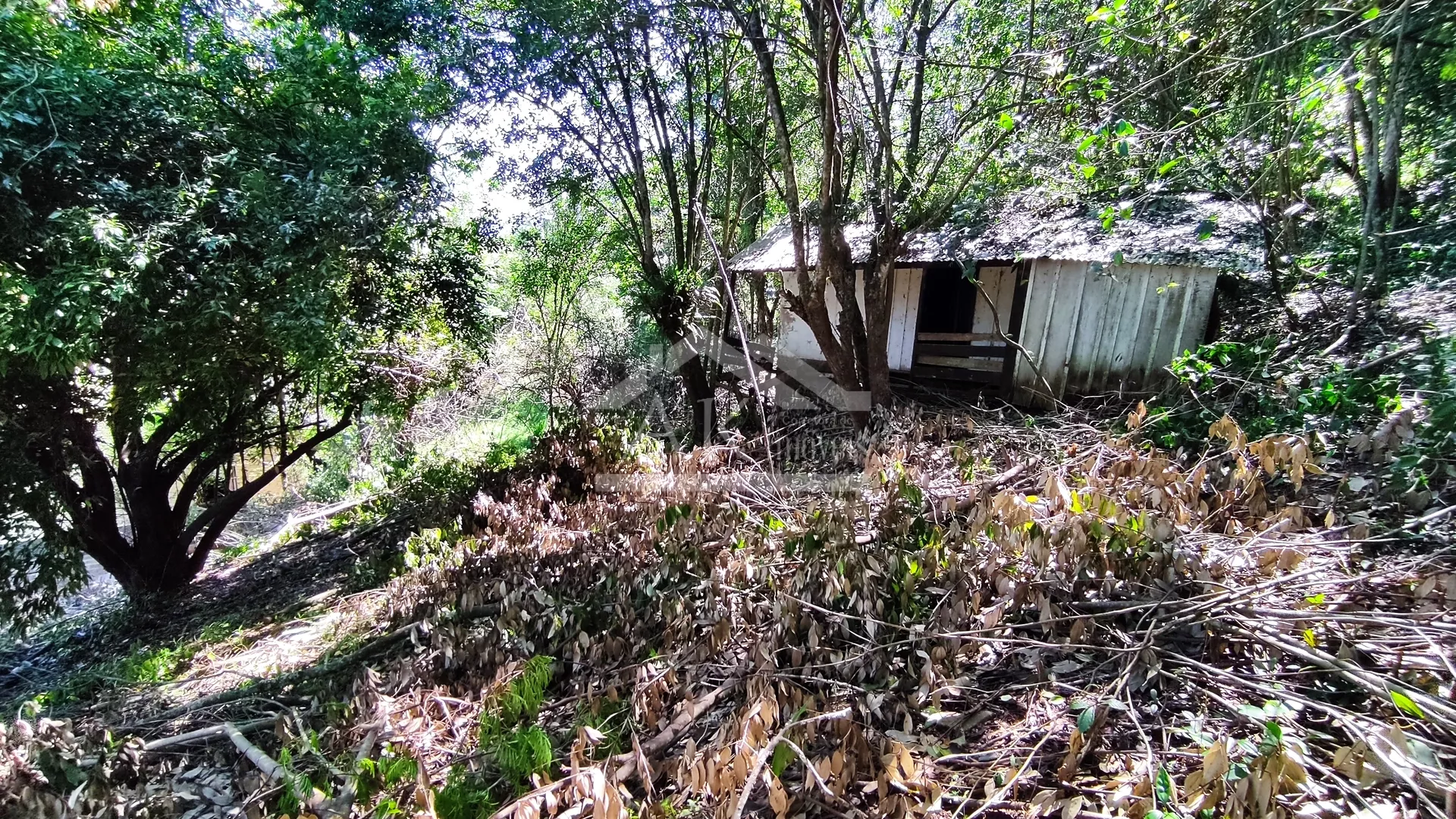 Amplo terreno arborizado à venda em Picada Café na Serra Gaúcha