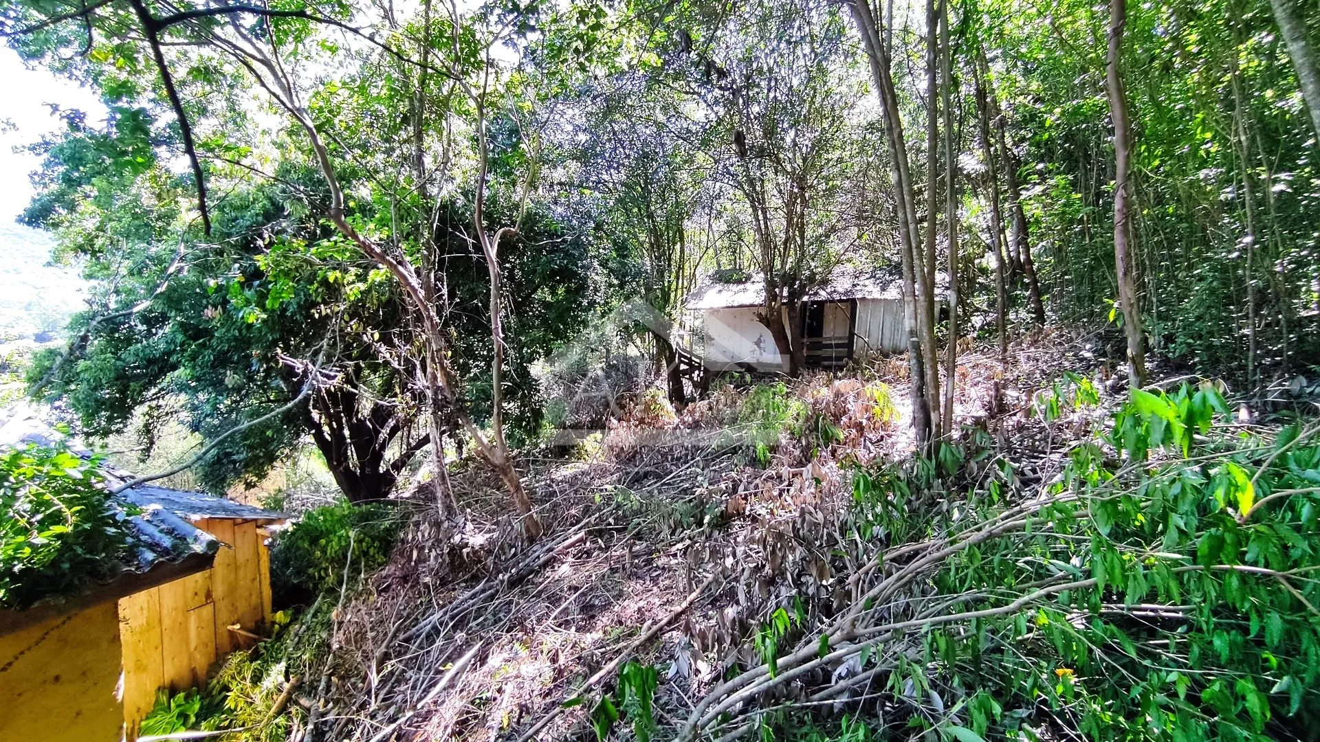Amplo terreno arborizado à venda em Picada Café na Serra Gaúcha