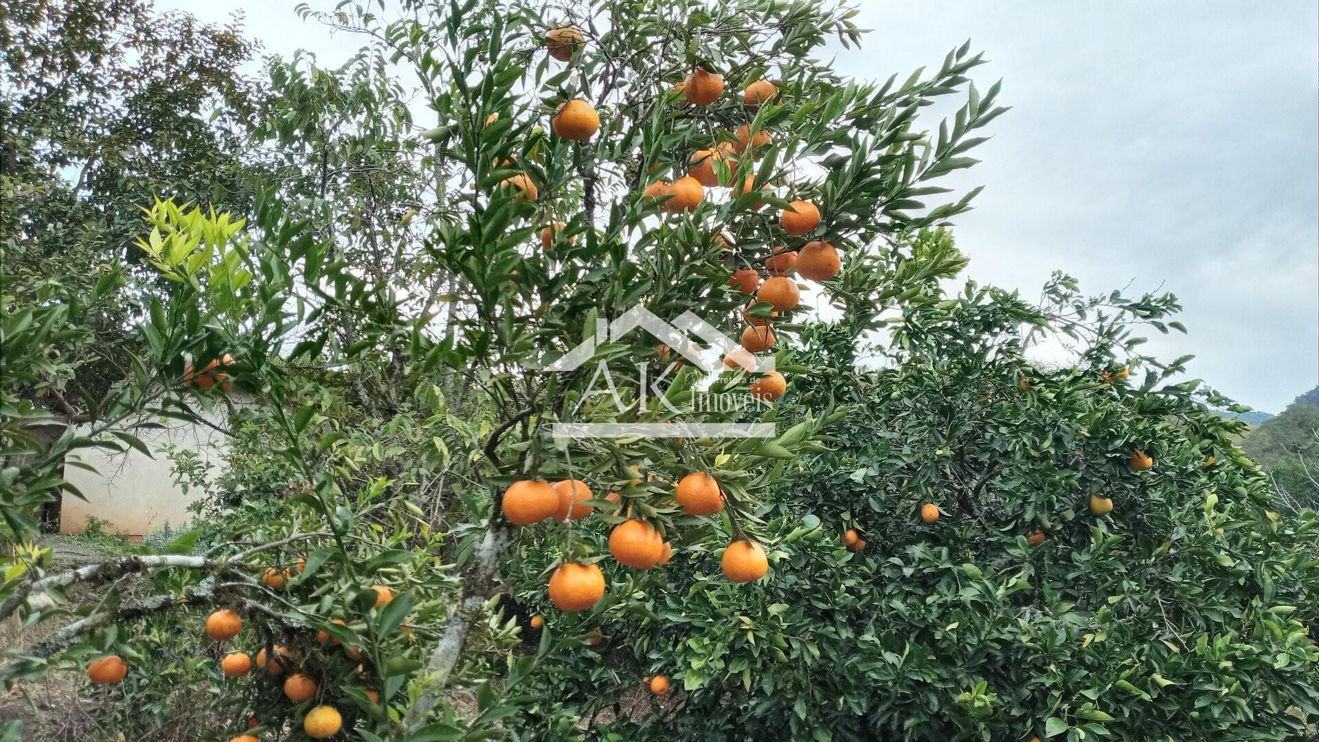 Amplo terreno à venda em Picada Café na Serra Gaúcha