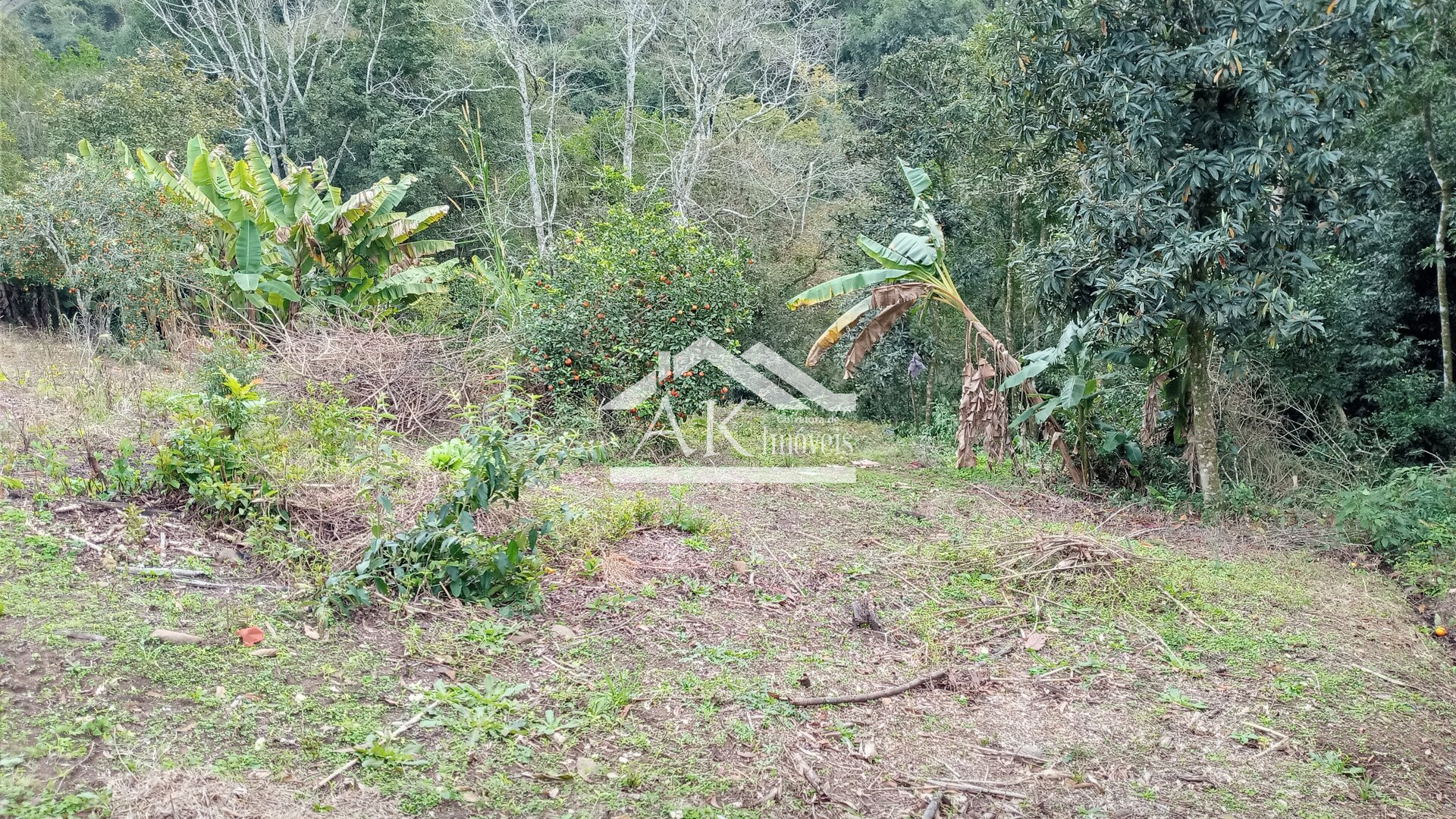 Amplo terreno à venda em Picada Café na Serra Gaúcha