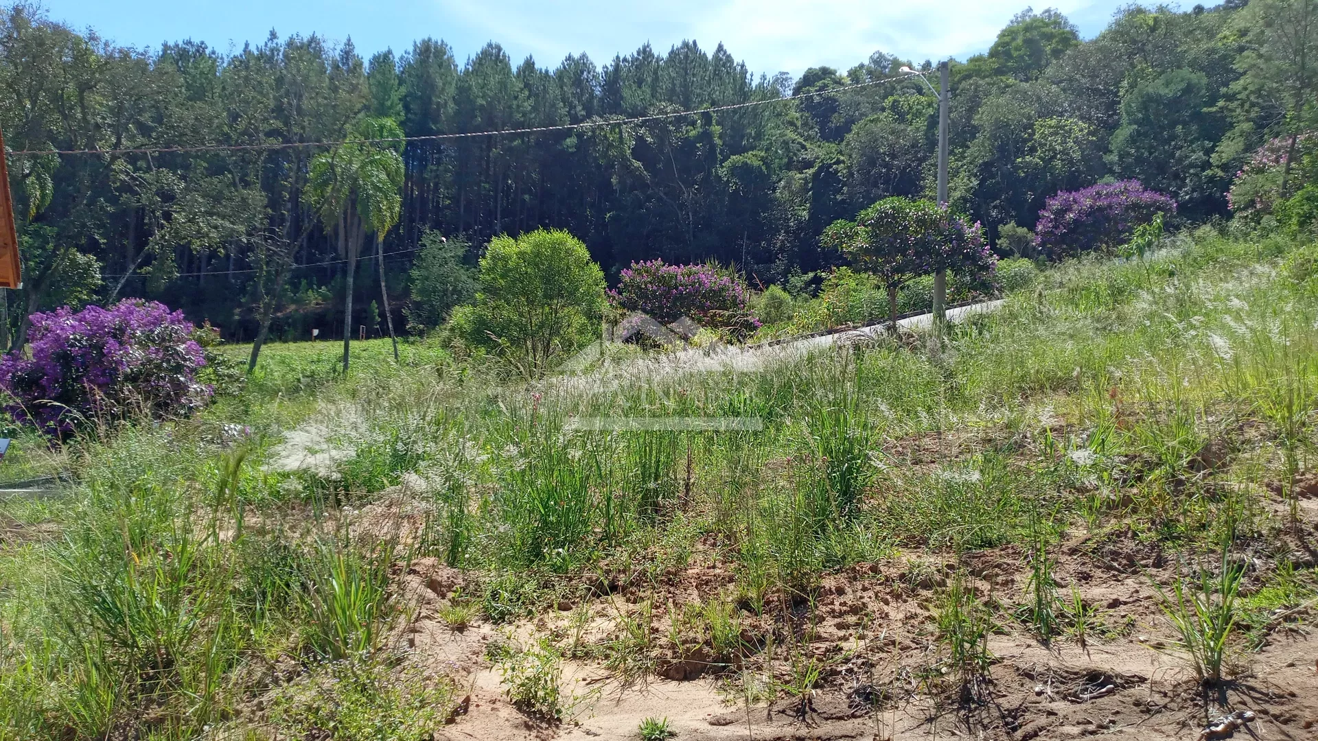 Terreno com vista, à venda, no Centro de Picada Café, na Serra Gaúcha