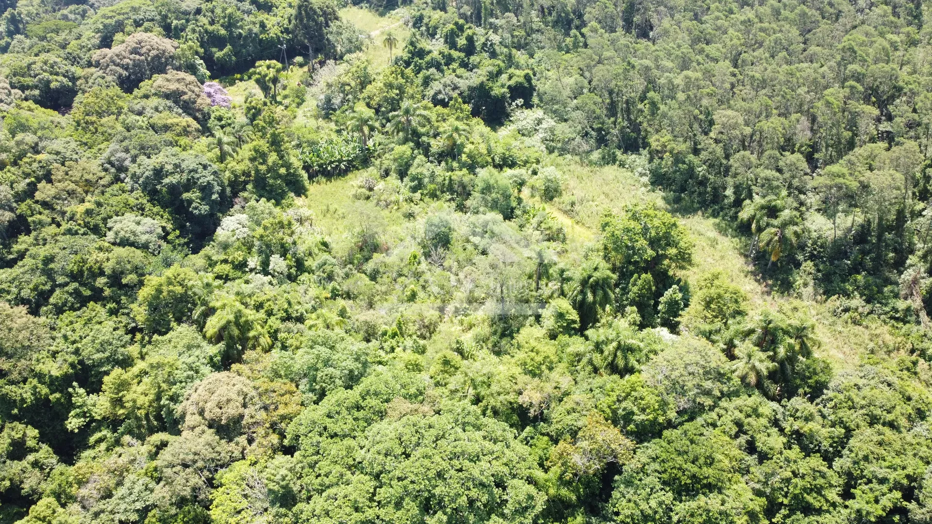 Amplo terreno à venda na cidade de Picada Café na Serra Gaúcha