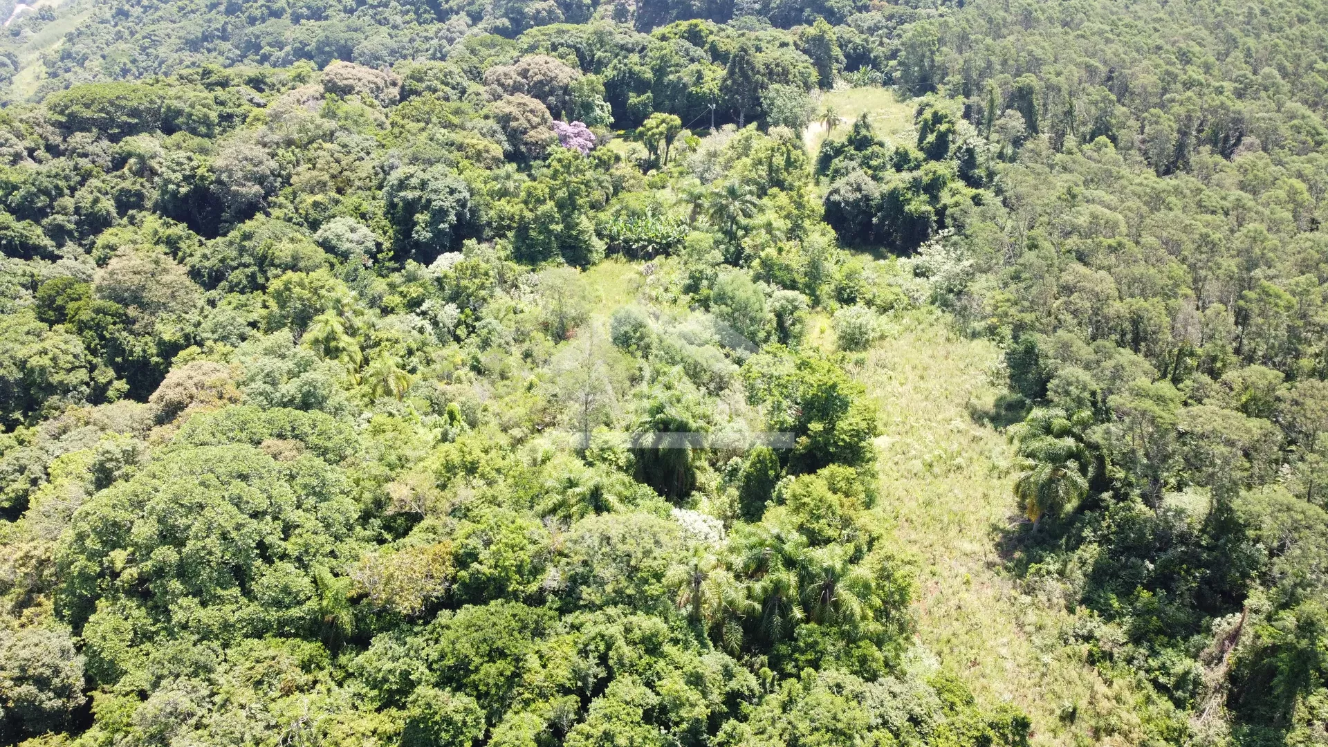 Amplo terreno à venda na cidade de Picada Café na Serra Gaúcha