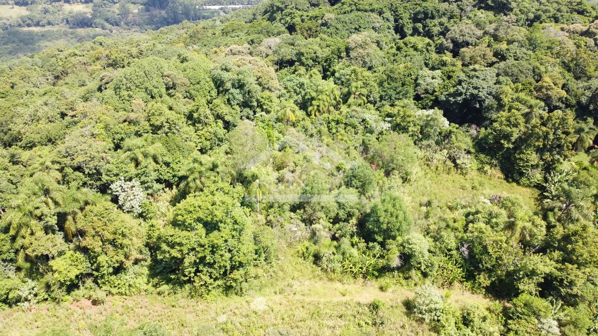 Amplo terreno à venda na cidade de Picada Café na Serra Gaúcha