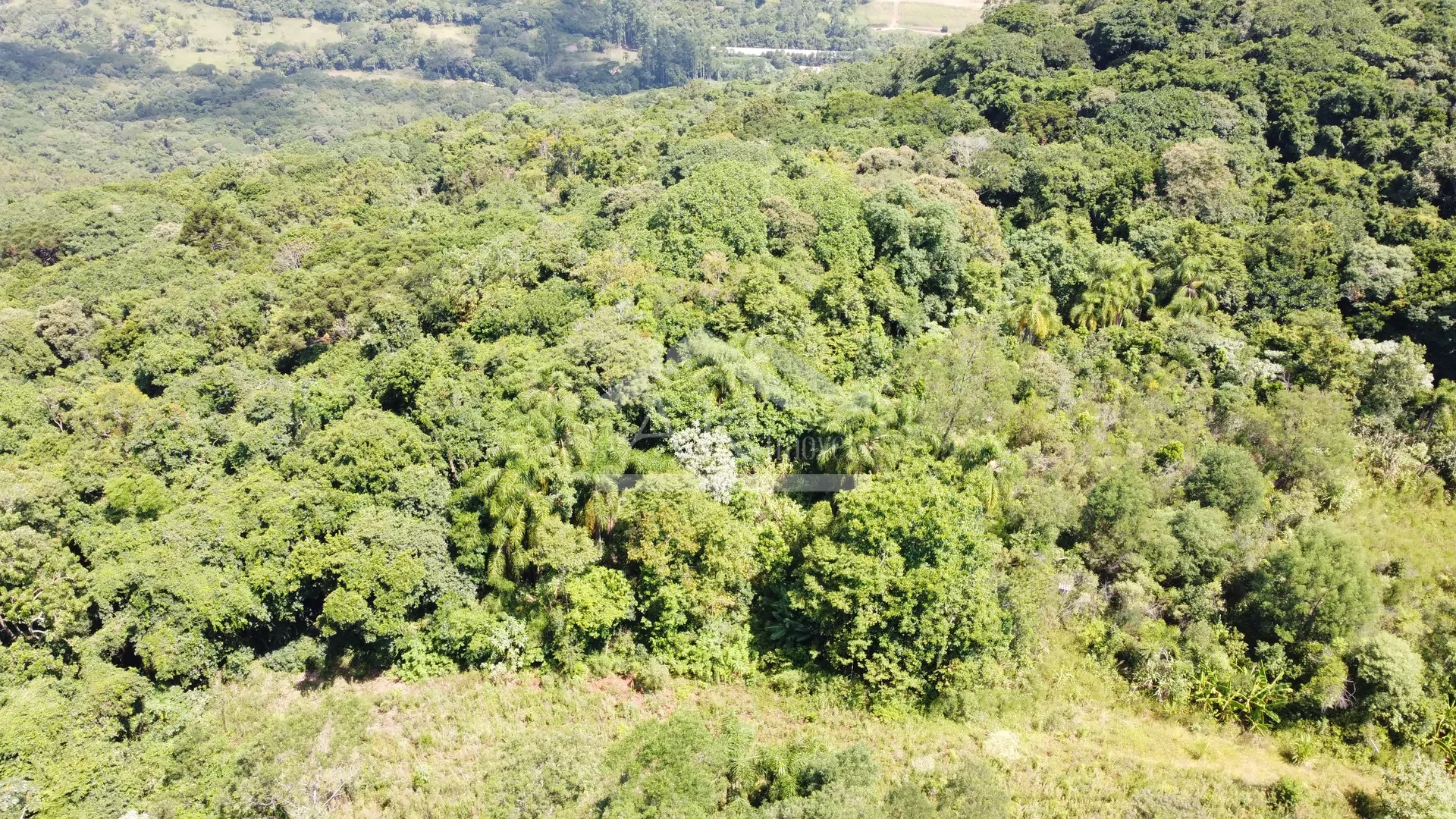 Amplo terreno à venda na cidade de Picada Café na Serra Gaúcha