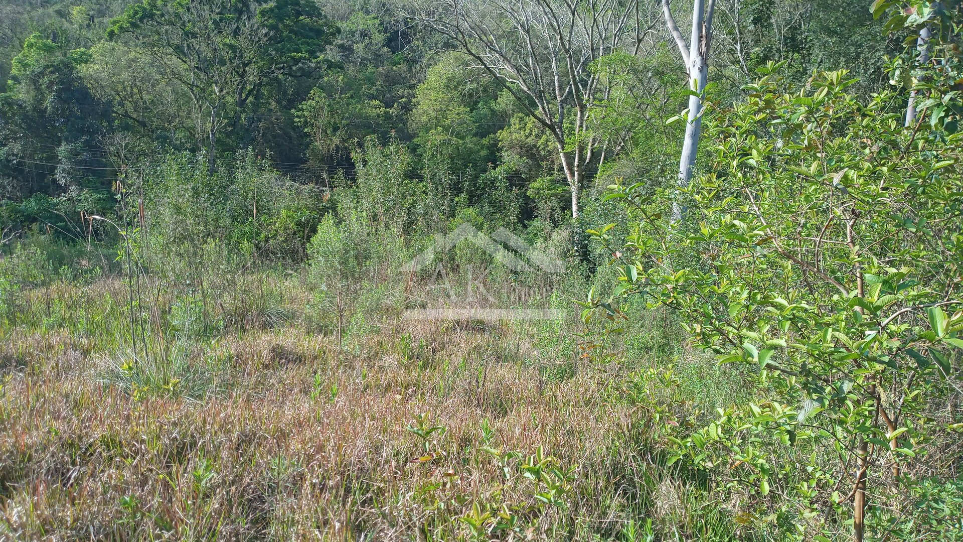 Amplo terreno, com fácil acesso, a venda em Picada Café, na Serra Gaúcha