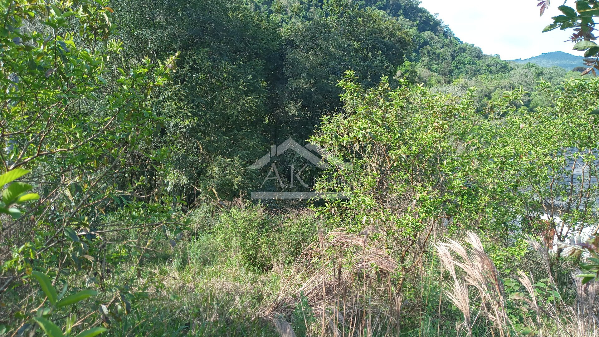 Amplo terreno, com fácil acesso, a venda em Picada Café, na Serra Gaúcha
