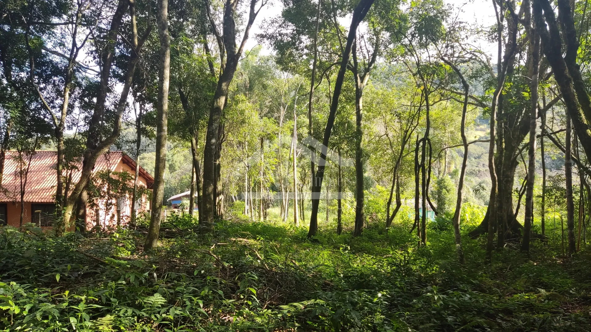 Amplo terreno arborizado à venda em Picada Café na Serra Gaúcha