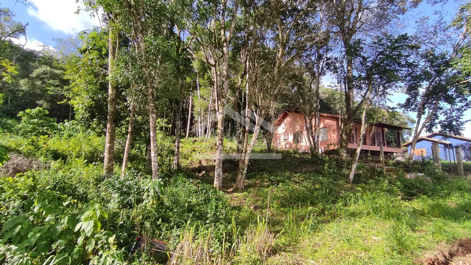 Amplo terreno arborizado à venda em Picada Café na Serra Gaúcha