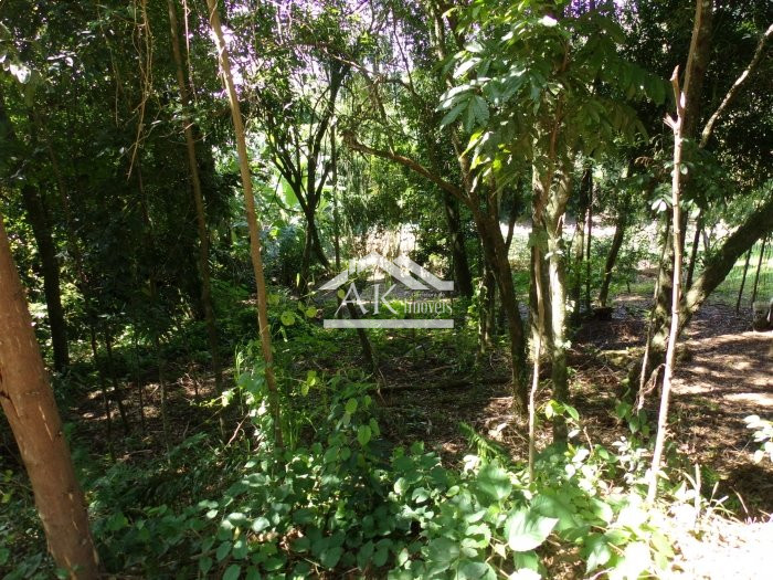 Terreno amplo a venda em Picada Café, na Serra Gaúcha