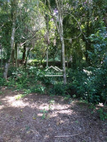 Terreno amplo a venda em Picada Café, na Serra Gaúcha