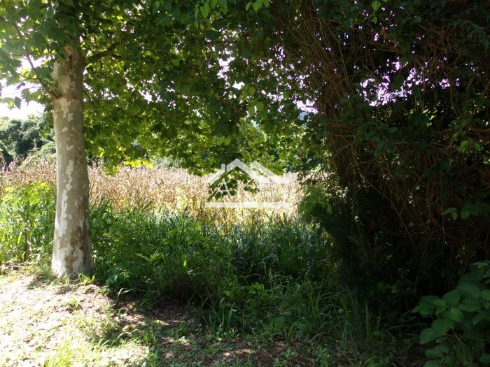 Terreno amplo a venda em Picada Café, na Serra Gaúcha