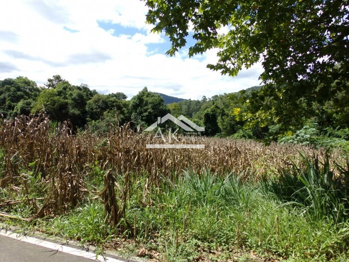 Terreno amplo a venda em Picada Café, na Serra Gaúcha