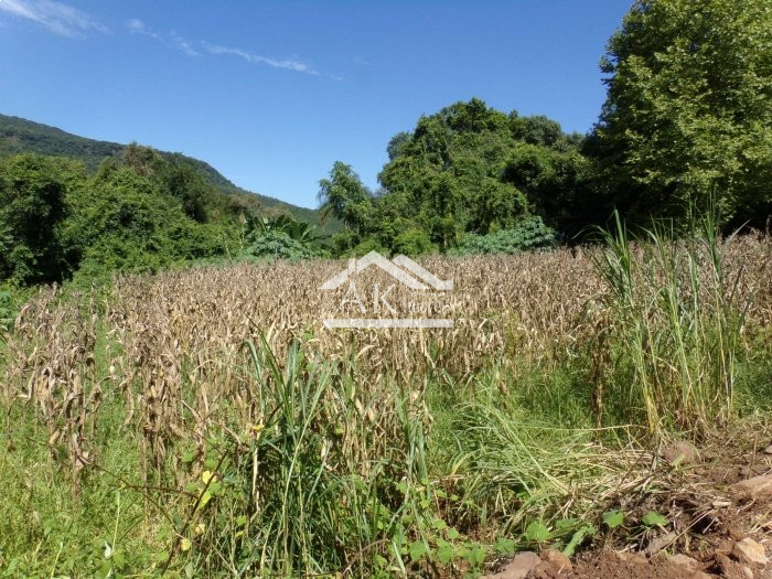 Terreno amplo a venda em Picada Café, na Serra Gaúcha