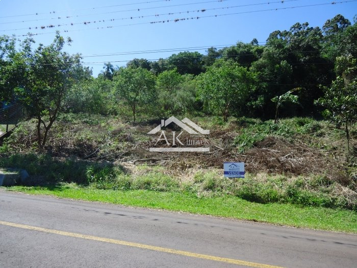 Terreno amplo e arborizado a venda em Picada Café, na Serra Gaúcha