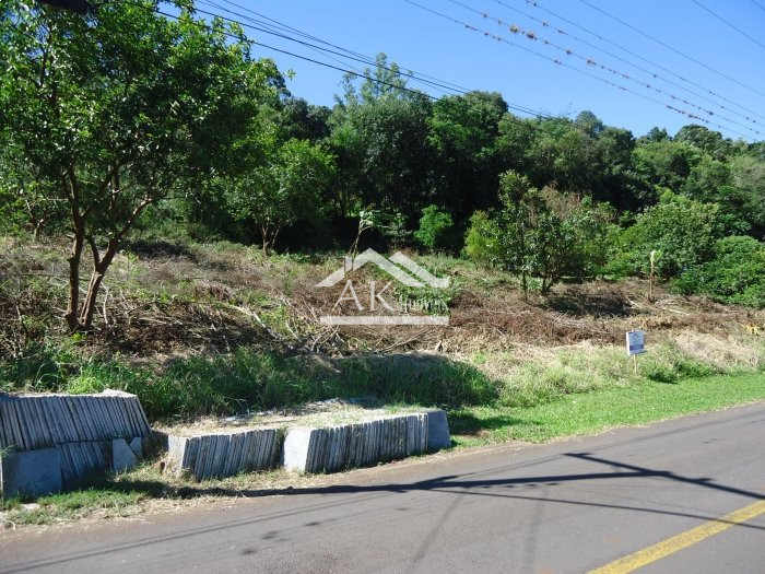 Terreno amplo e arborizado a venda em Picada Café, na Serra Gaúcha
