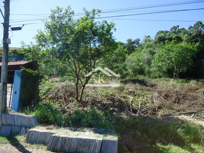Terreno amplo e arborizado a venda em Picada Café, na Serra Gaúcha
