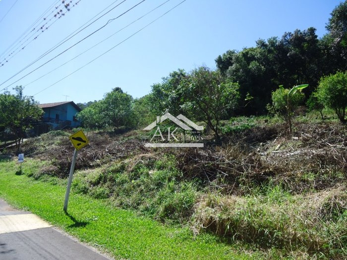 Terreno amplo e arborizado a venda em Picada Café, na Serra Gaúcha
