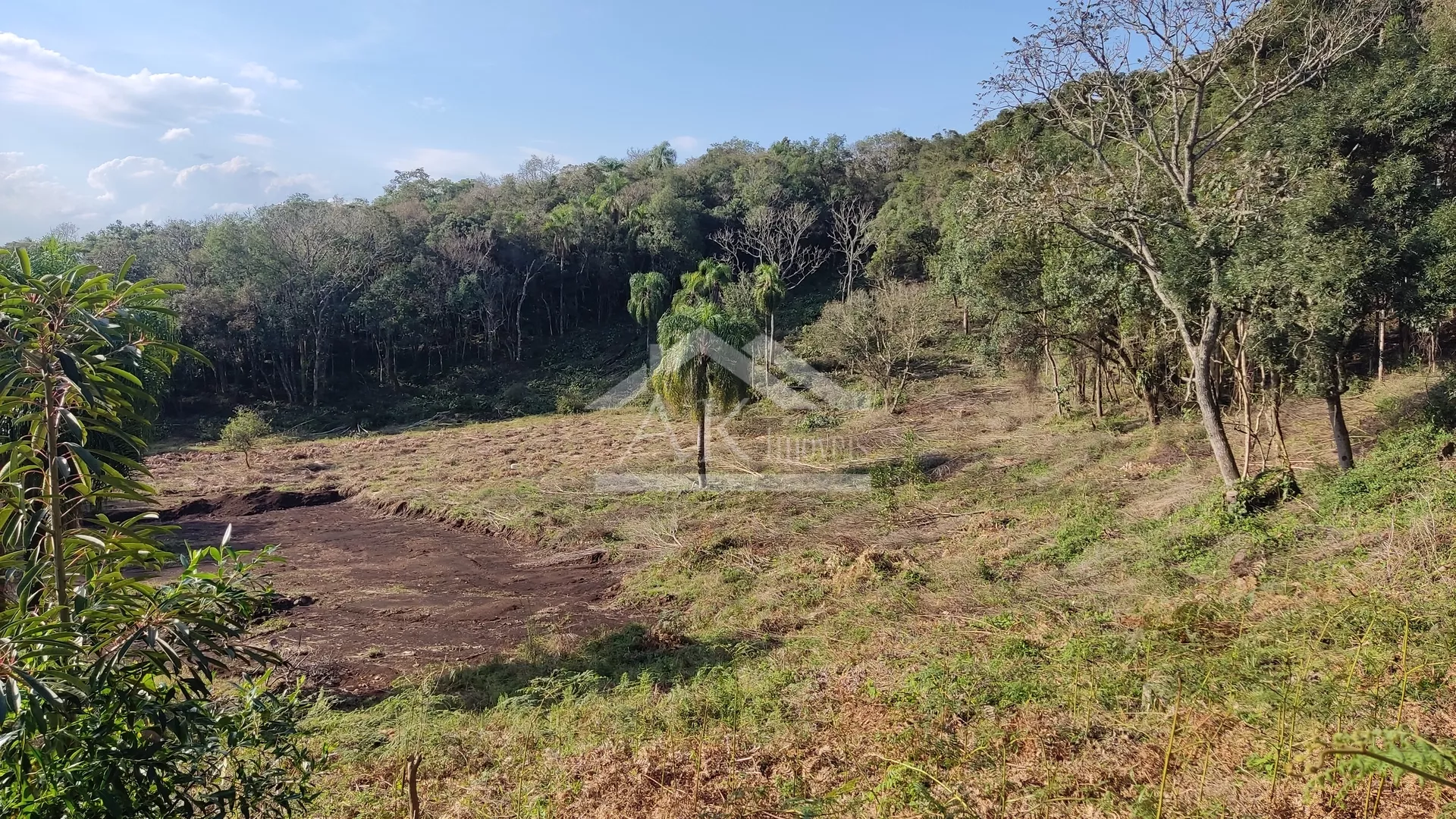 Área de terra em topo de morro à venda em Nova Petrópolis na Serra Gaúcha