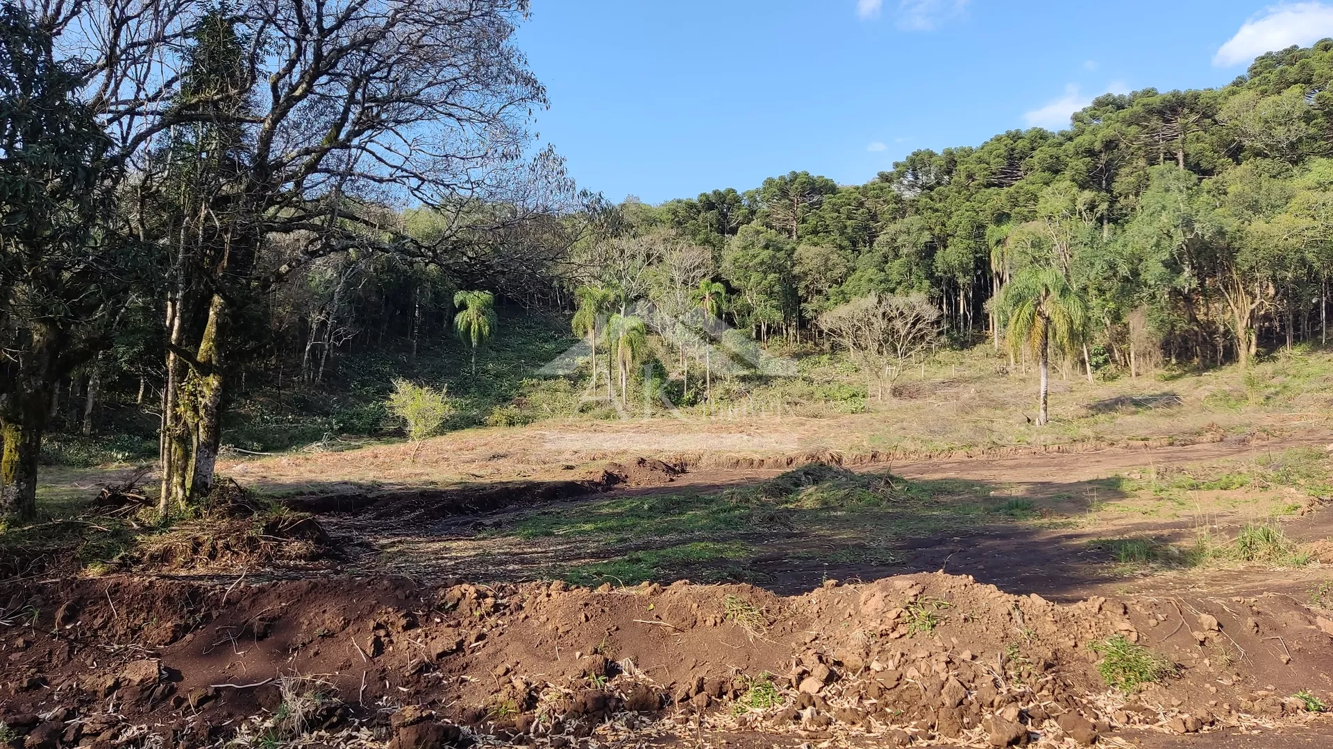 Área de terra em topo de morro à venda em Nova Petrópolis na Serra Gaúcha