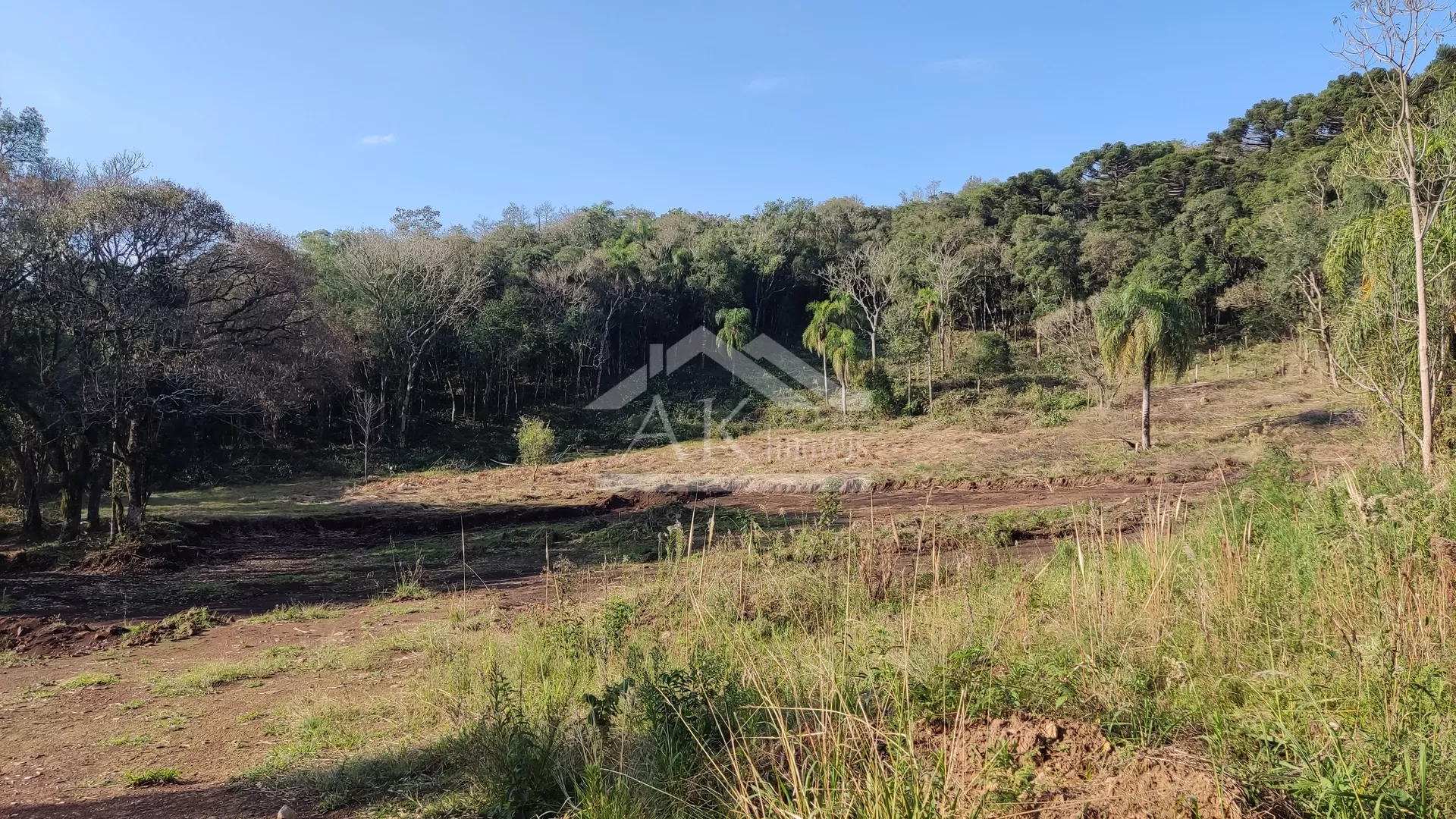 Área de terra em topo de morro à venda em Nova Petrópolis na Serra Gaúcha