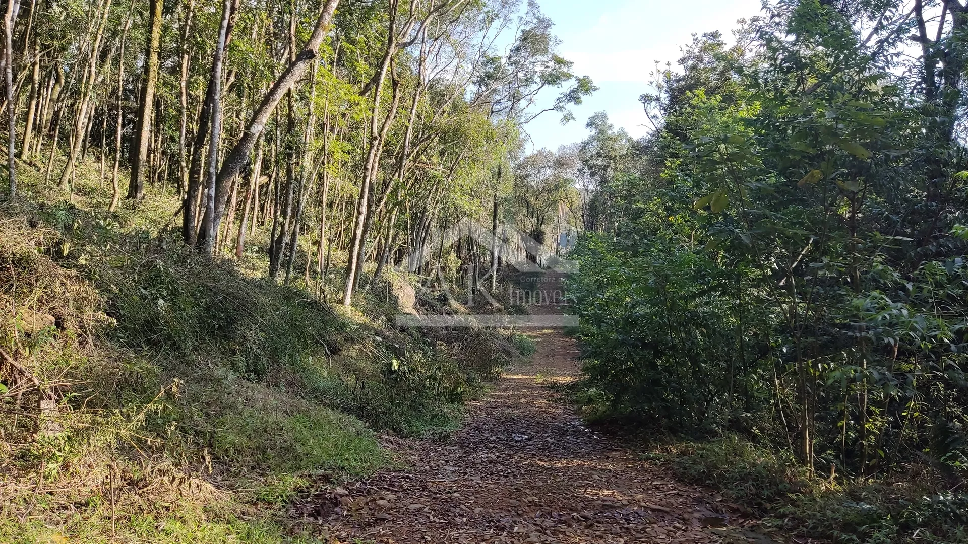 Área de terra em topo de morro à venda em Nova Petrópolis na Serra Gaúcha