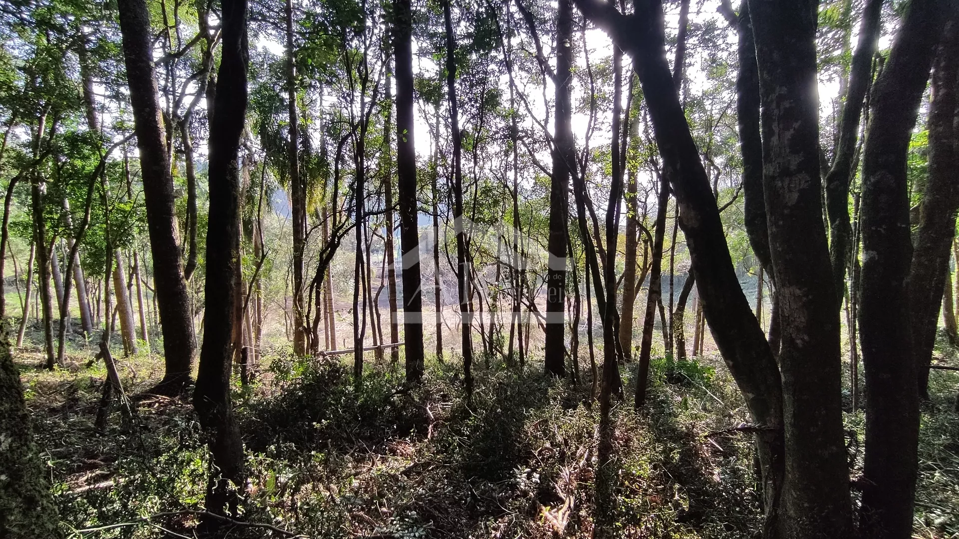 Área de terra em topo de morro à venda em Nova Petrópolis na Serra Gaúcha