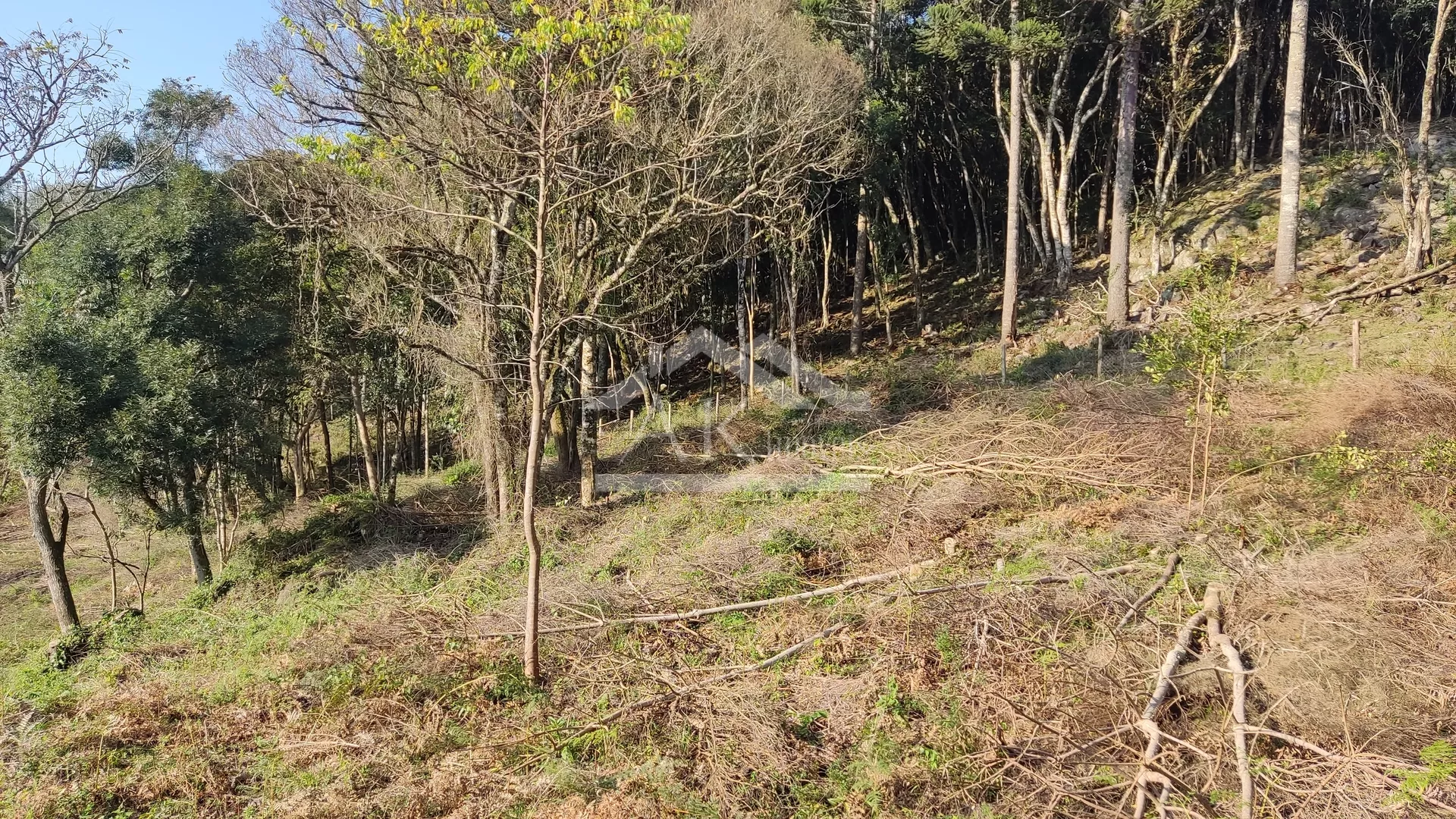 Área de terra em topo de morro à venda em Nova Petrópolis na Serra Gaúcha