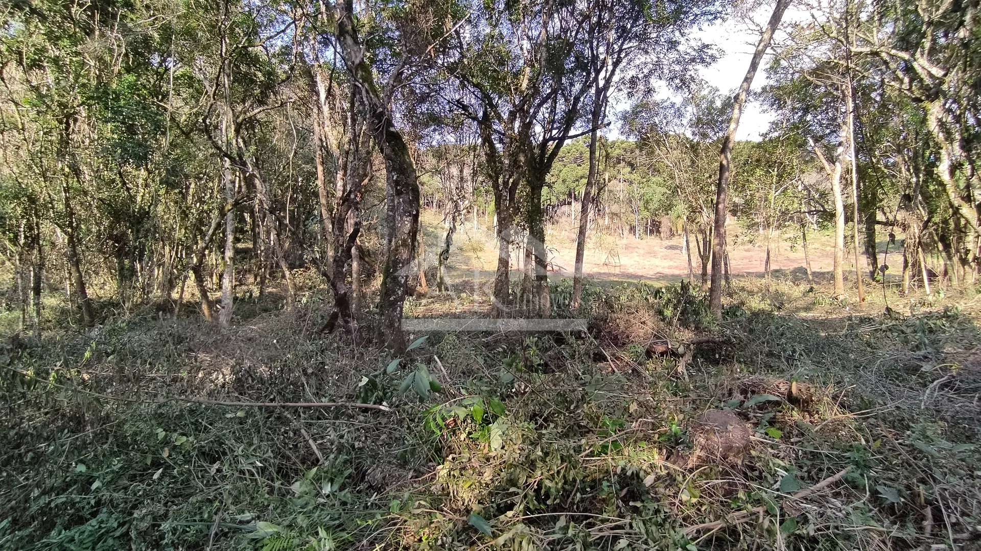 Área de terra em topo de morro à venda em Nova Petrópolis na Serra Gaúcha