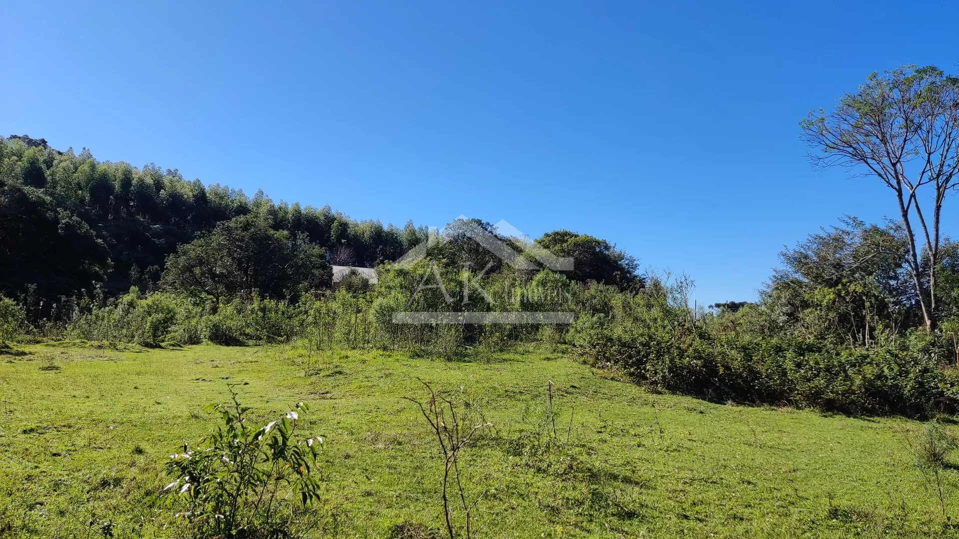 Amplo terreno plano à venda em Picada Café na Serra Gaúcha