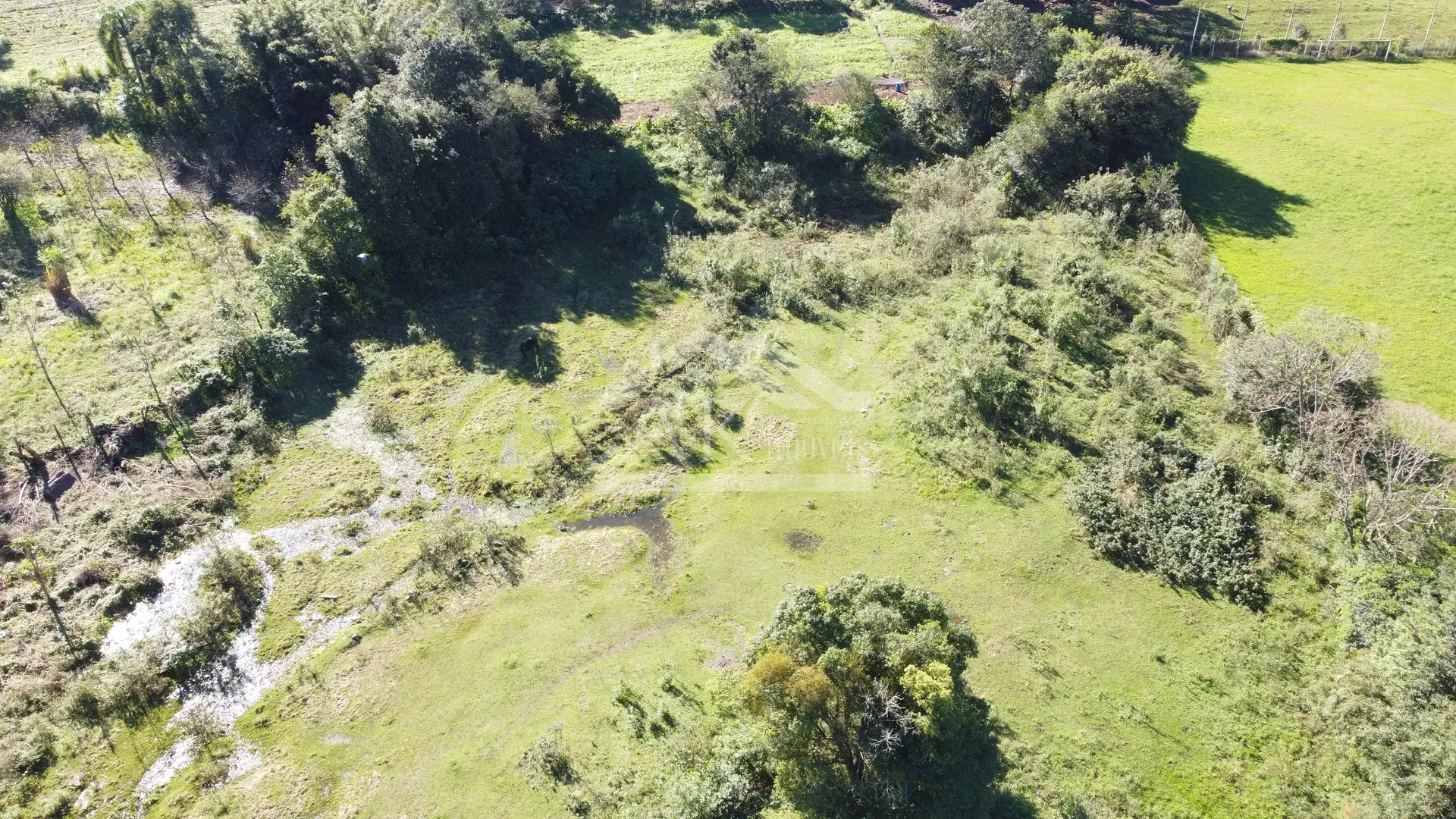 Amplo terreno plano à venda em Picada Café na Serra Gaúcha