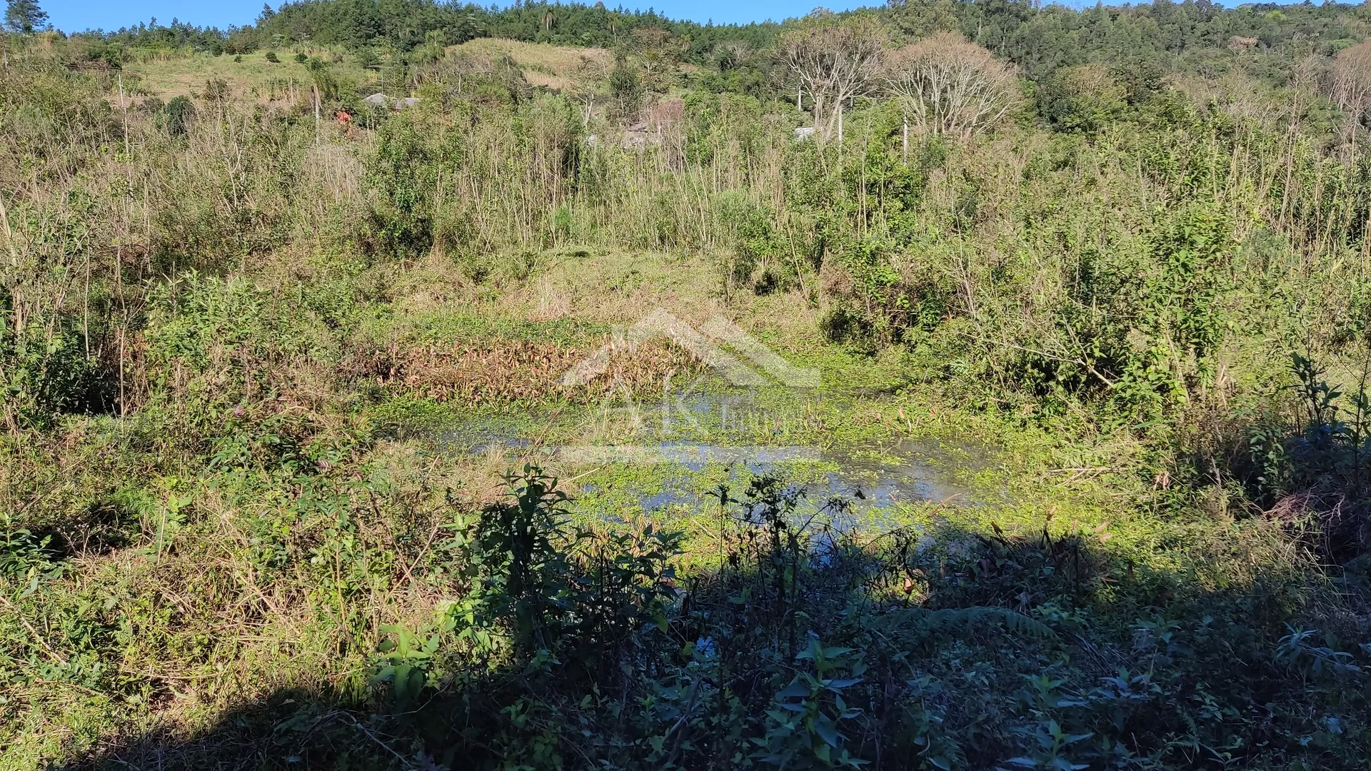 Amplo terreno plano à venda em Picada Café na Serra Gaúcha