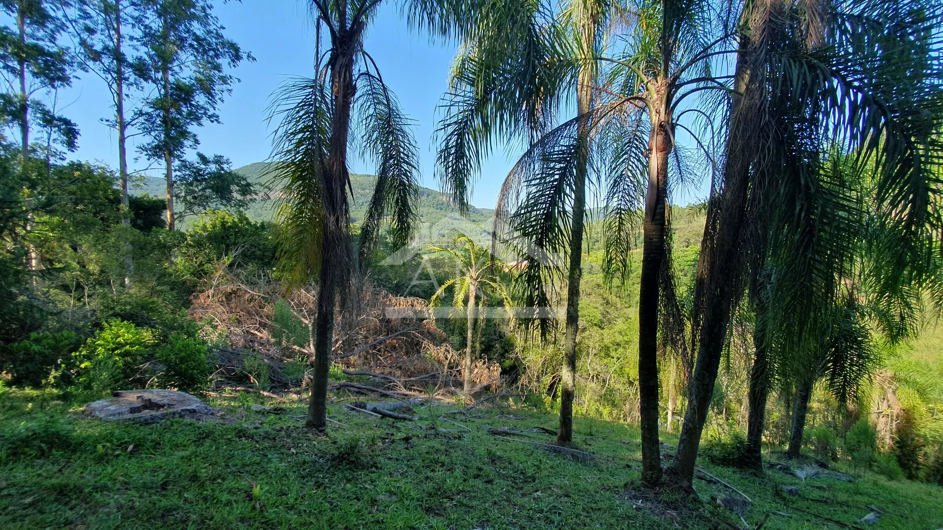 Sítio com riacho à venda em Picada Café na Serra Gaúcha