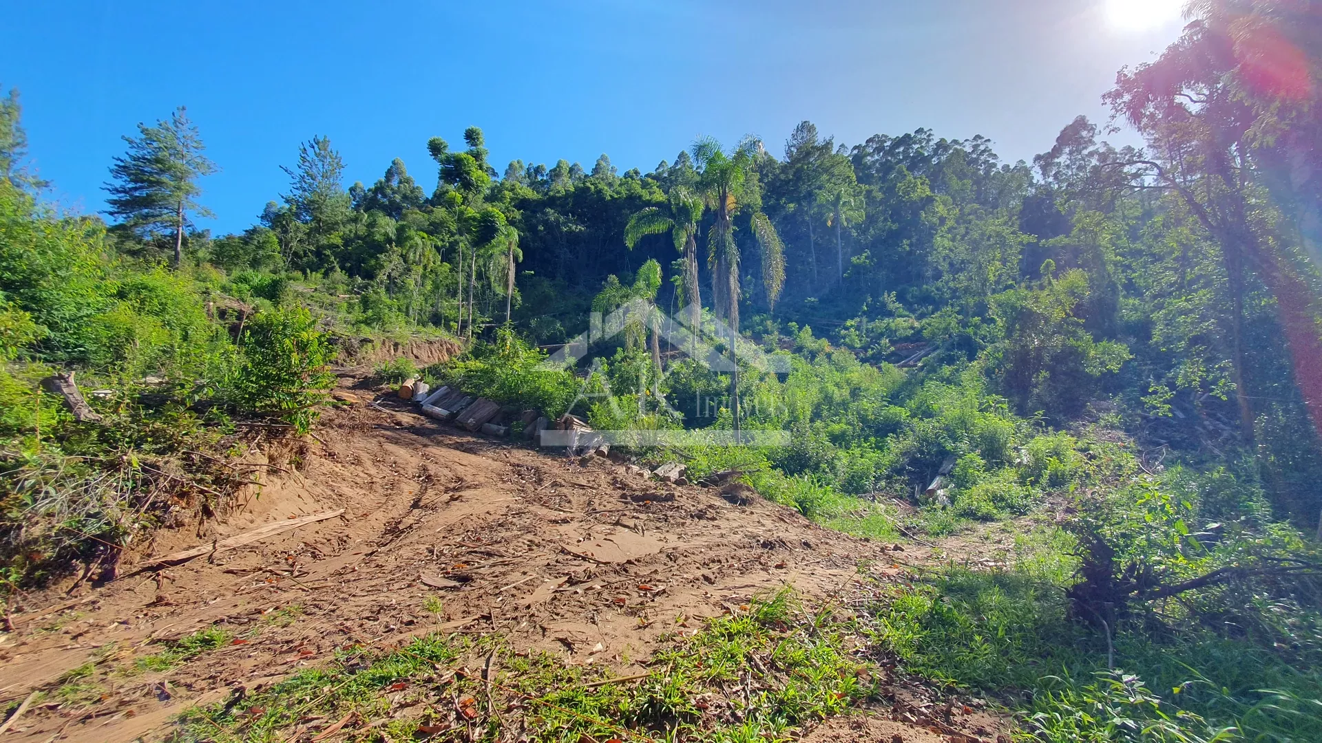 Sítio com riacho à venda em Picada Café na Serra Gaúcha