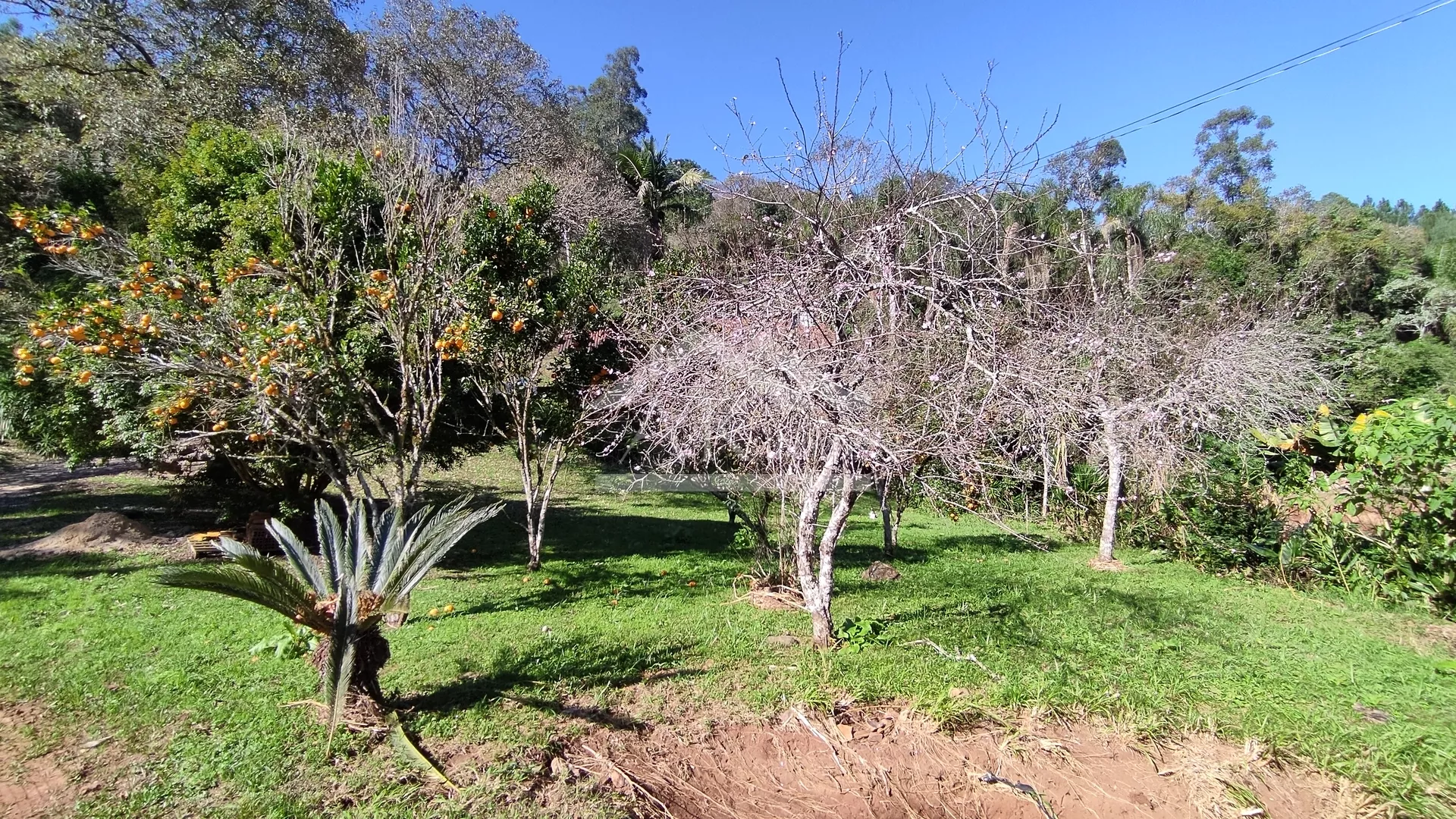 Sítio com riacho à venda em Picada Café na Serra Gaúcha