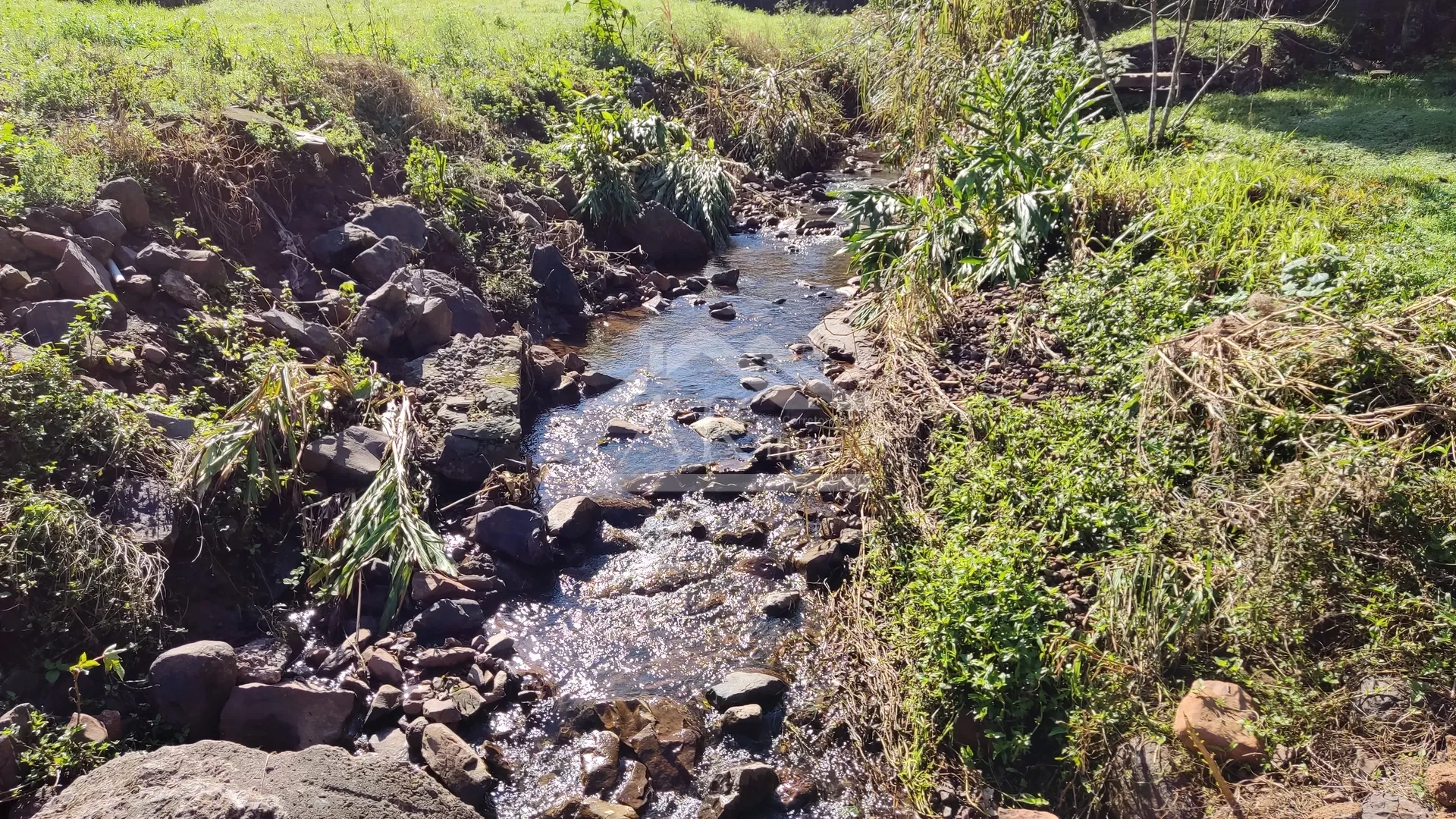Sítio com riacho à venda em Picada Café na Serra Gaúcha