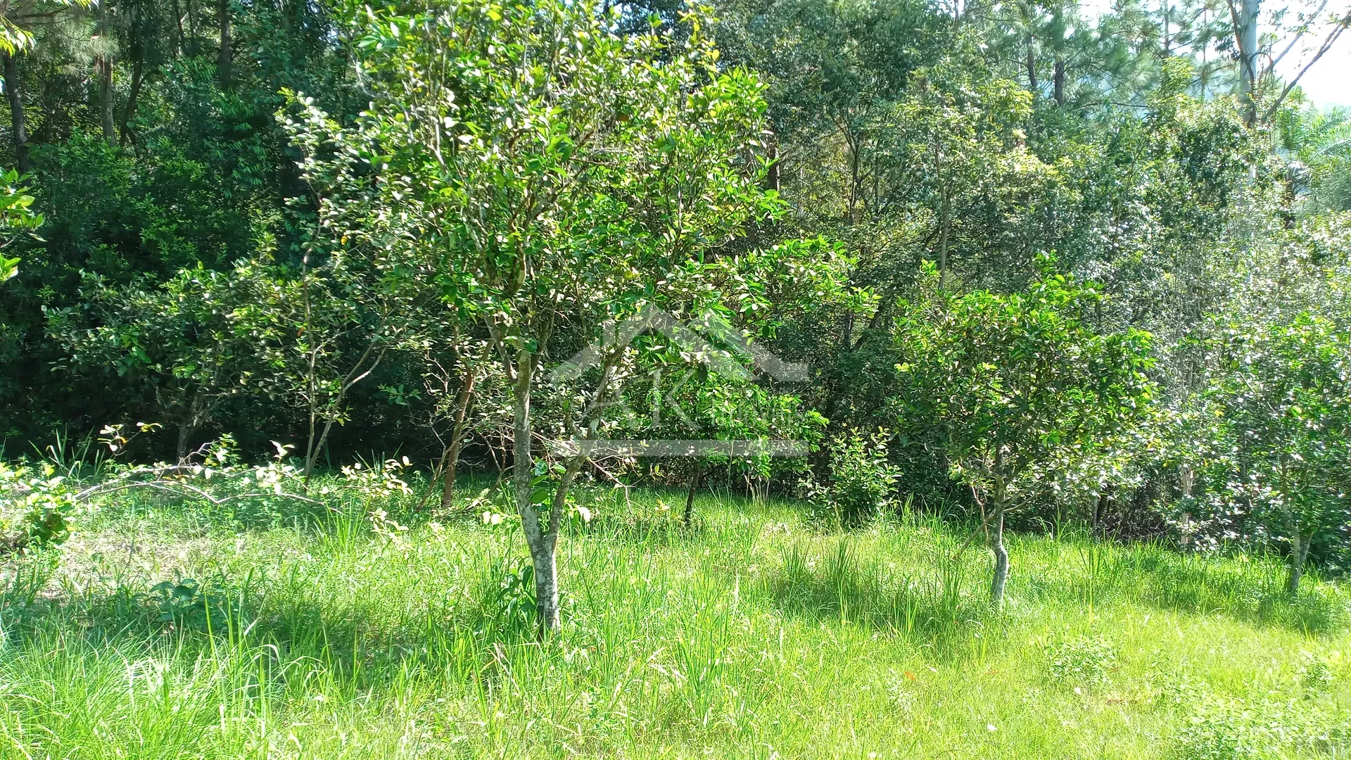 Área de terras com ótima localização à venda em Picada Café na Serra Gaúcha