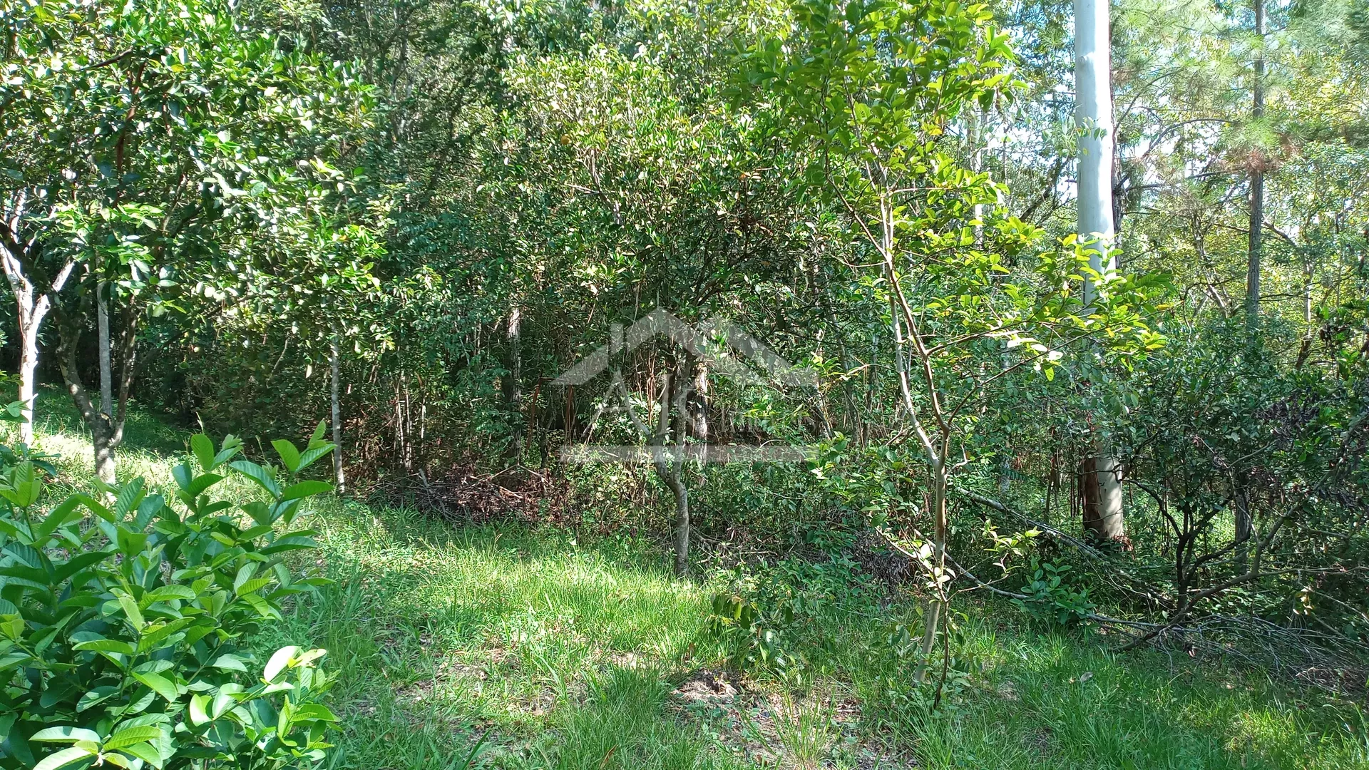 Área de terras com ótima localização à venda em Picada Café na Serra Gaúcha