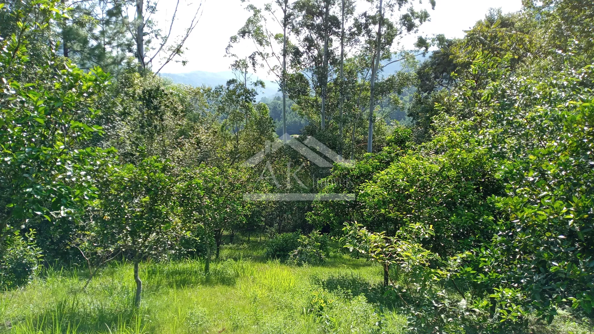 Área de terras com ótima localização à venda em Picada Café na Serra Gaúcha