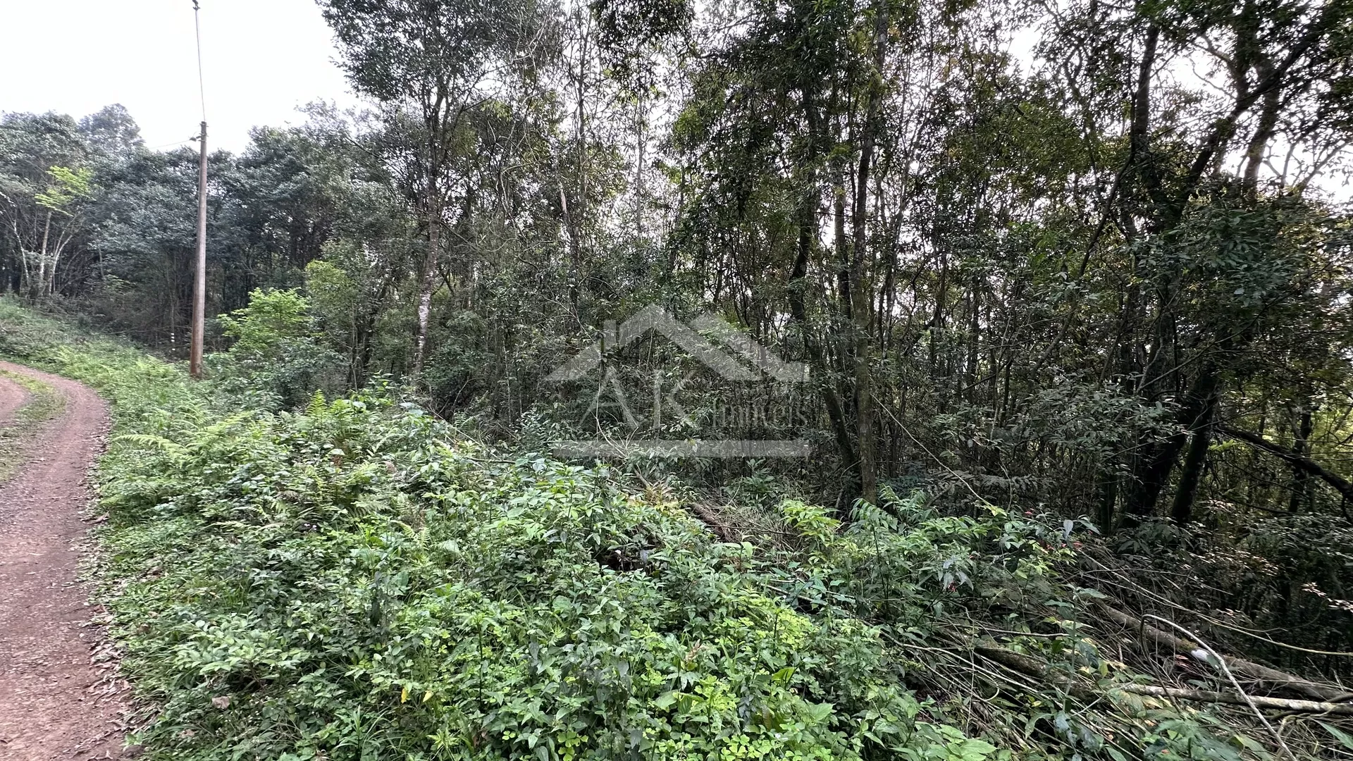 Área de terras com ótima localização à venda em Picada Café na Serra Gaúcha