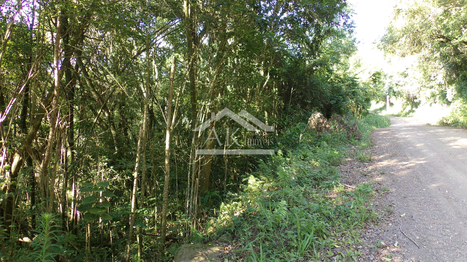 Área de terras à venda próxima ao centro de Picada café na serra gaúcha